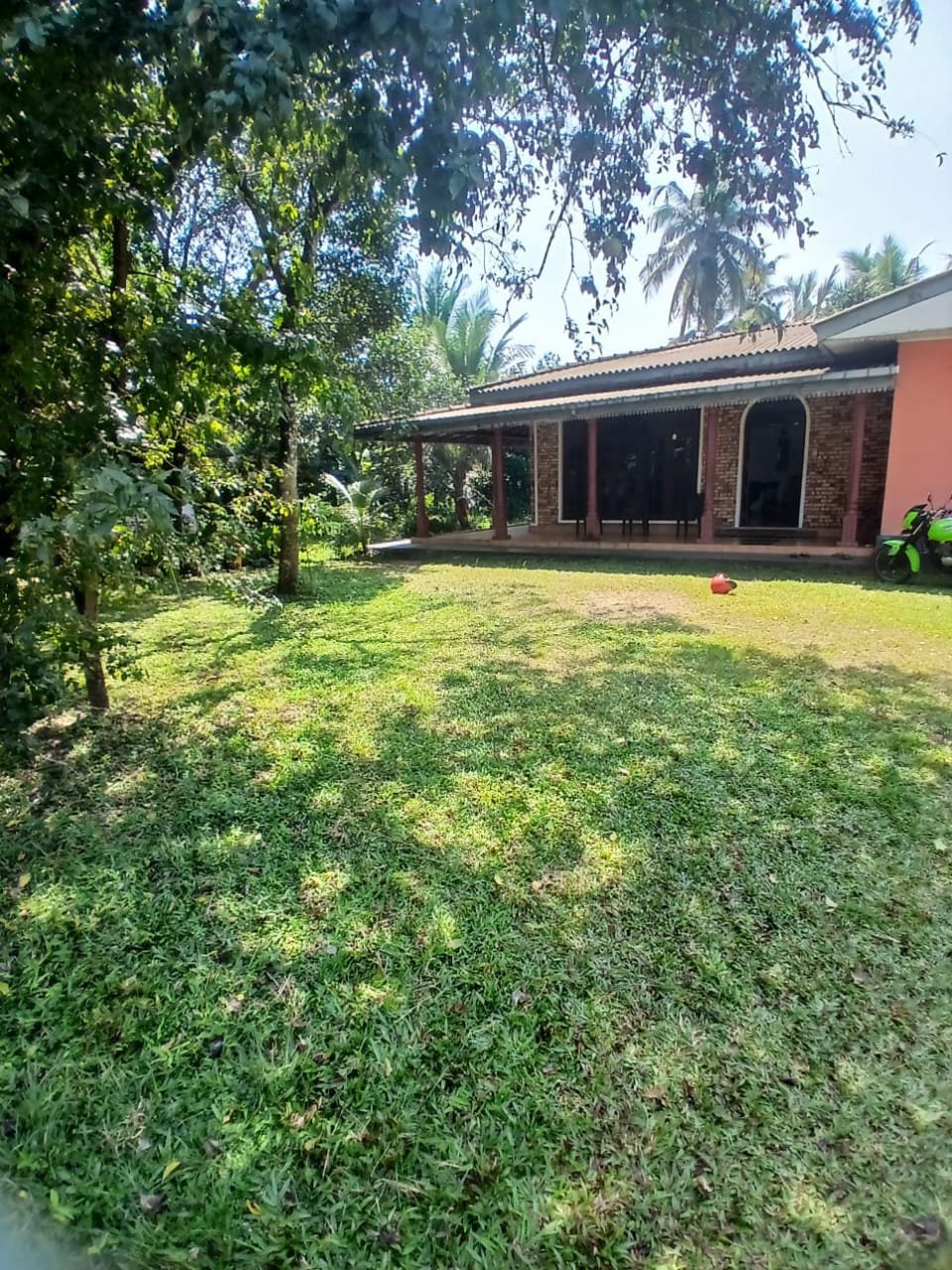Photo 4