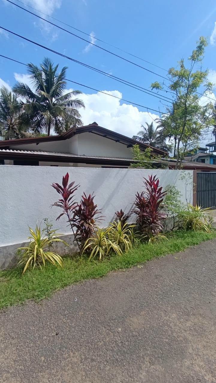 ලක්ෂ 105 කට අගනා අලුත්ම නිවසක් වහාම විකිණීමට- හෝමාගම තලගල