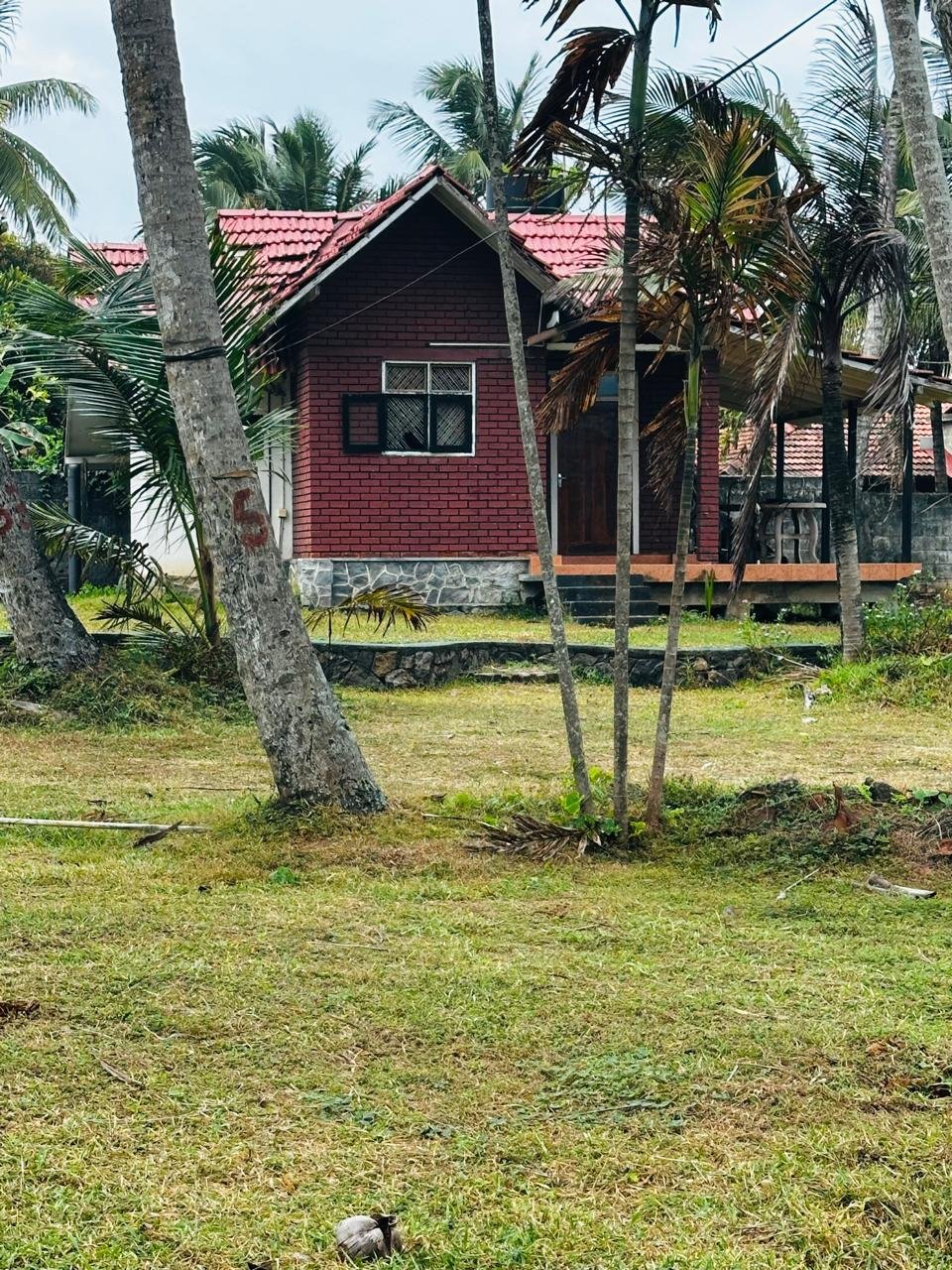 🌴🏡 ආකර්ෂණීය පරිසරයක පර්චස් 228ක විශාල ඉඩමක් සමඟ නිවසක් සහ කබානා එකක් සහිත ඉඩම විකිණීමට! 🏡🌴