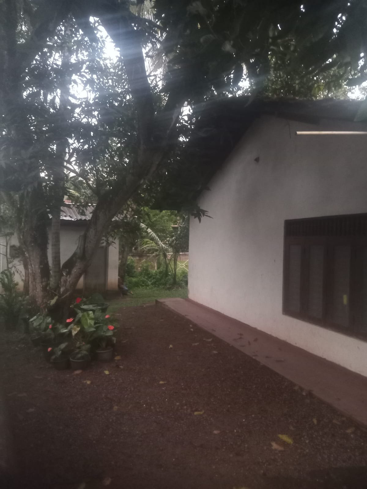 19.2 Perches Land with House for Sale – Ganemulla