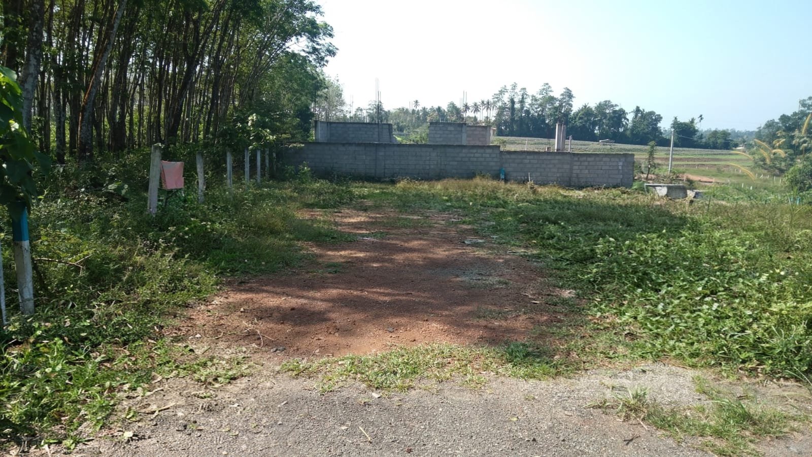 🌿🏡 ගෝනපොල – වීදියගොඩ පාරේ පර්චස් 11ක අගනා ඉඩමක් විකිණීමට! 🏡🌿
