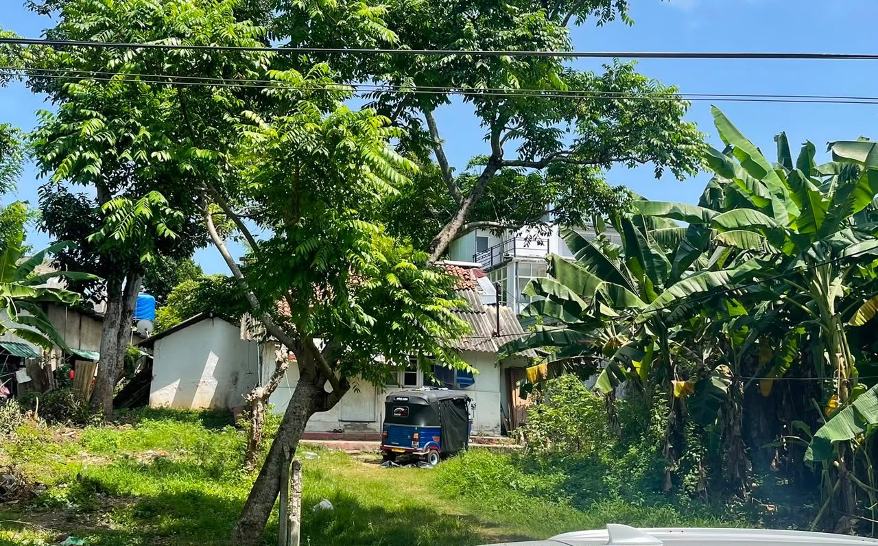 🏡 PRIME LAND FOR SALE IN MOUNT LAVINIA – GALLE ROAD AREA 🌿