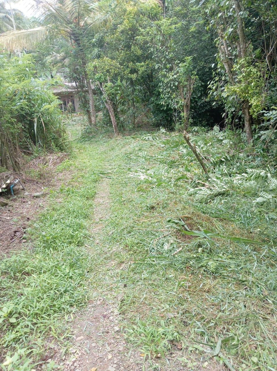 🌿 පිළිමතලාව – වට්ටප්පොළ අගනා ඉඩමක් විකිණීමට