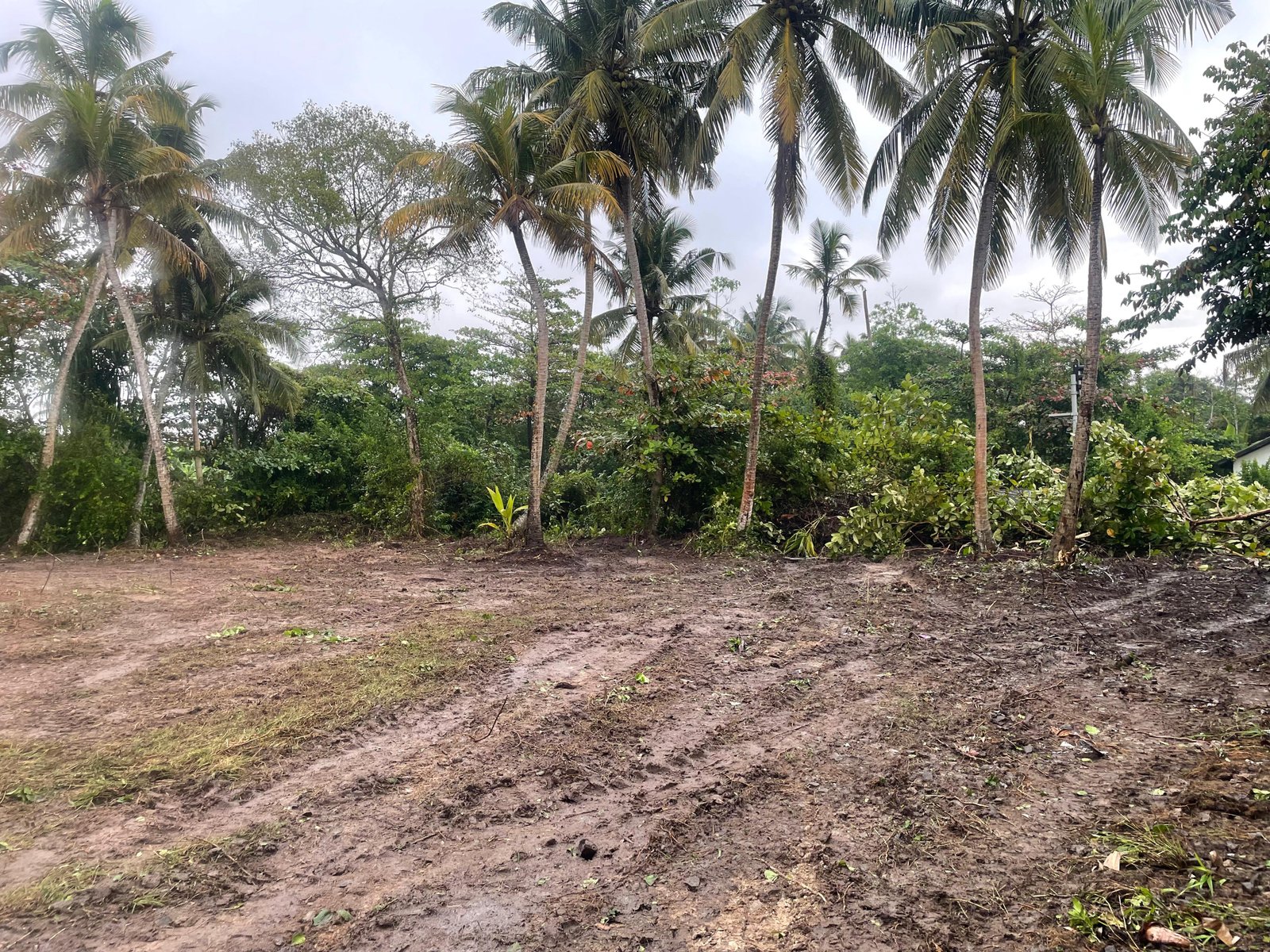 98 Perches Land for Sale in Ambalangoda, Galle