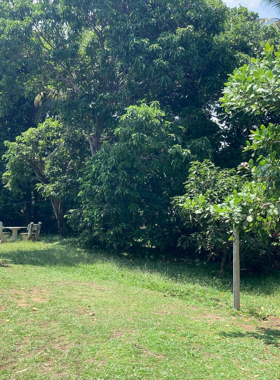 🌿 දෙවිනුවර – ගල්ගේහේන ප්‍රදේශයේ පර්චස් 20ක ඉඩමක් විකිණීමට