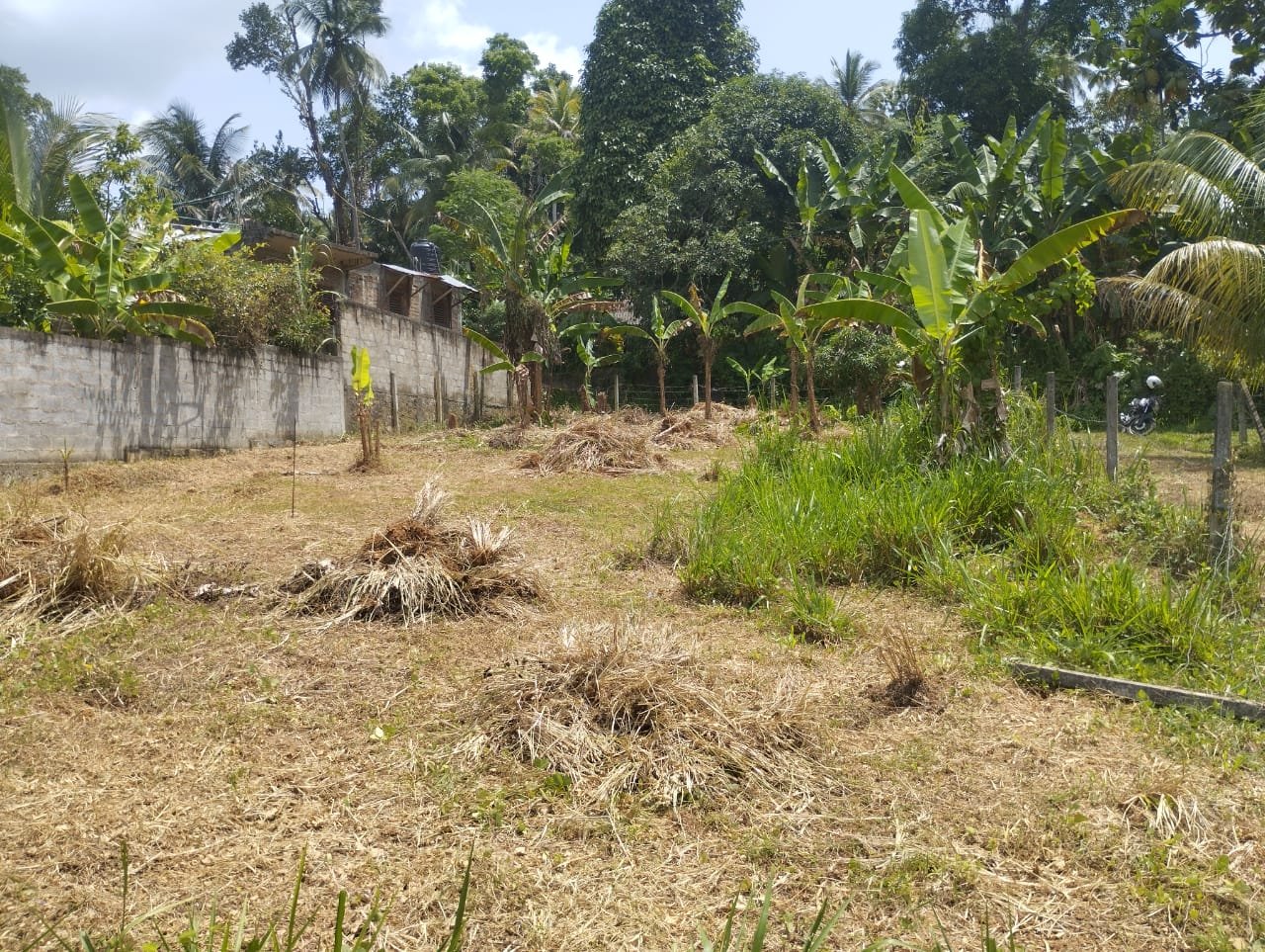 ඉඩමක් ඉක්මනින් විකිණීමට – හිරිවඩුන්න / පොල්ගහවෙල මාර්ගය