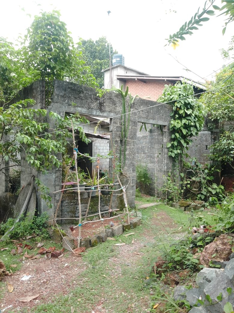 අඩක් සාදා නිමකළ නිවසක් සමඟ වටිනා ඉඩමක් විකිණීමට ඇත – කළුතර (බණ්ඩාරගම පාර)