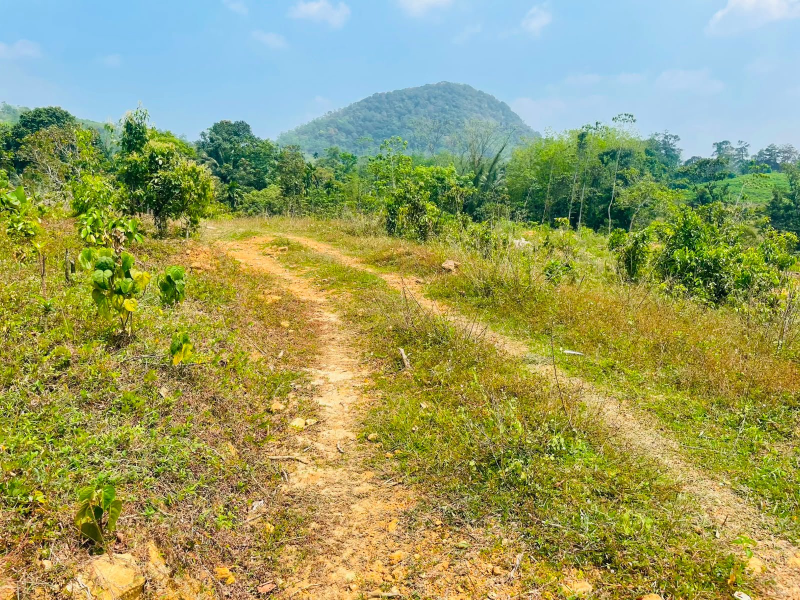 🌿🏡 හොරණ – හදපාන්ගොඩ අක්කරයක වටිනා ඉඩමක් විකිණීමට!