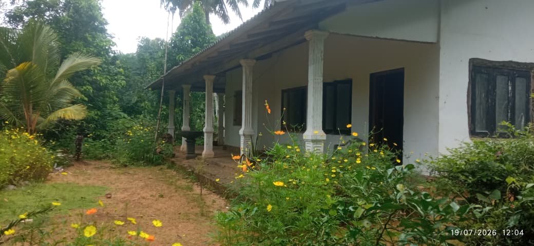 කෑගල්ල - කොටියාකුඹුරෙන් නිවසක් සහිත වටිනා ඉඩමක් වහාම විකිණීමට