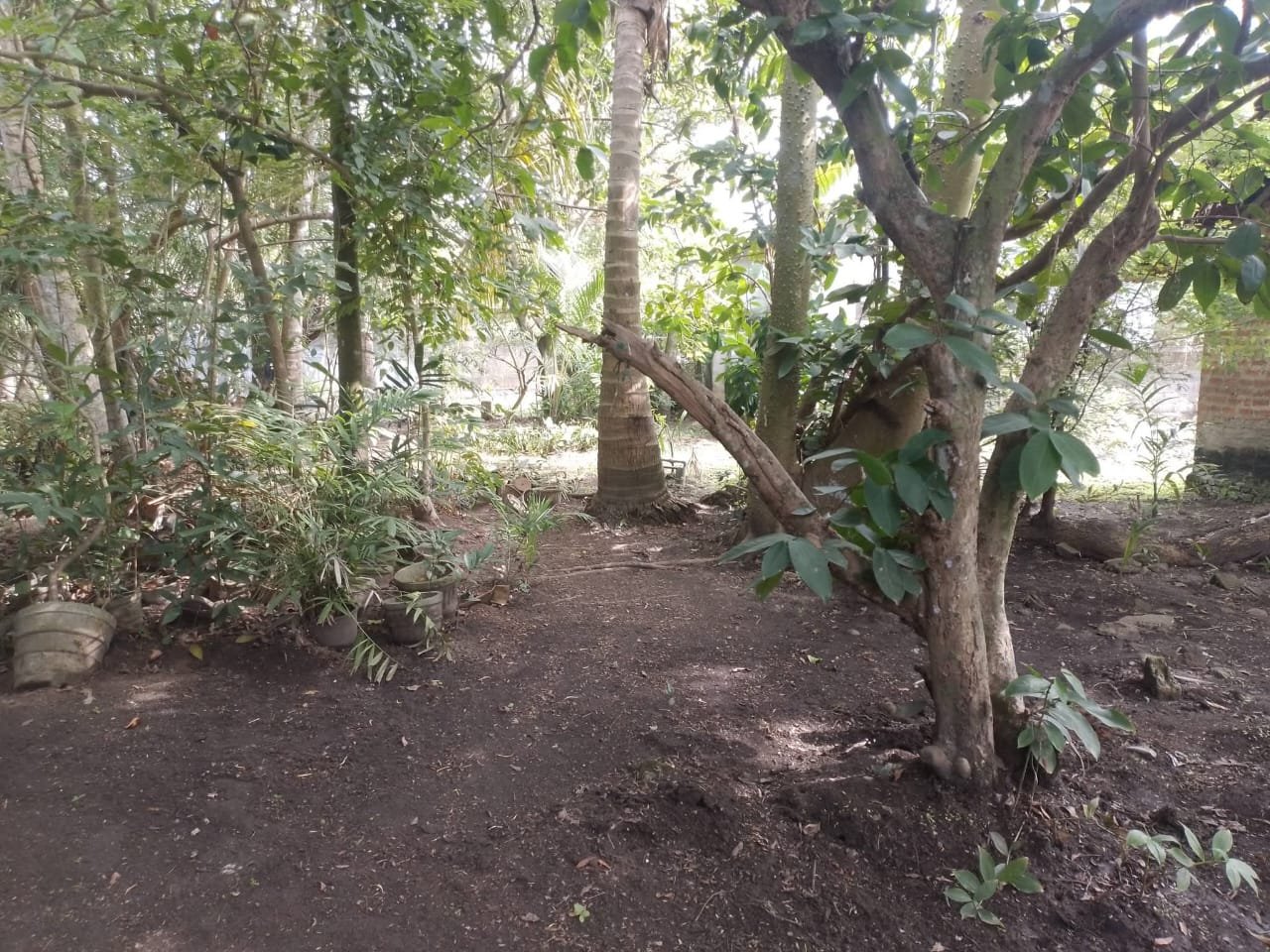 මීගමුව වටිනා ඉඩමක් විකිණීමට