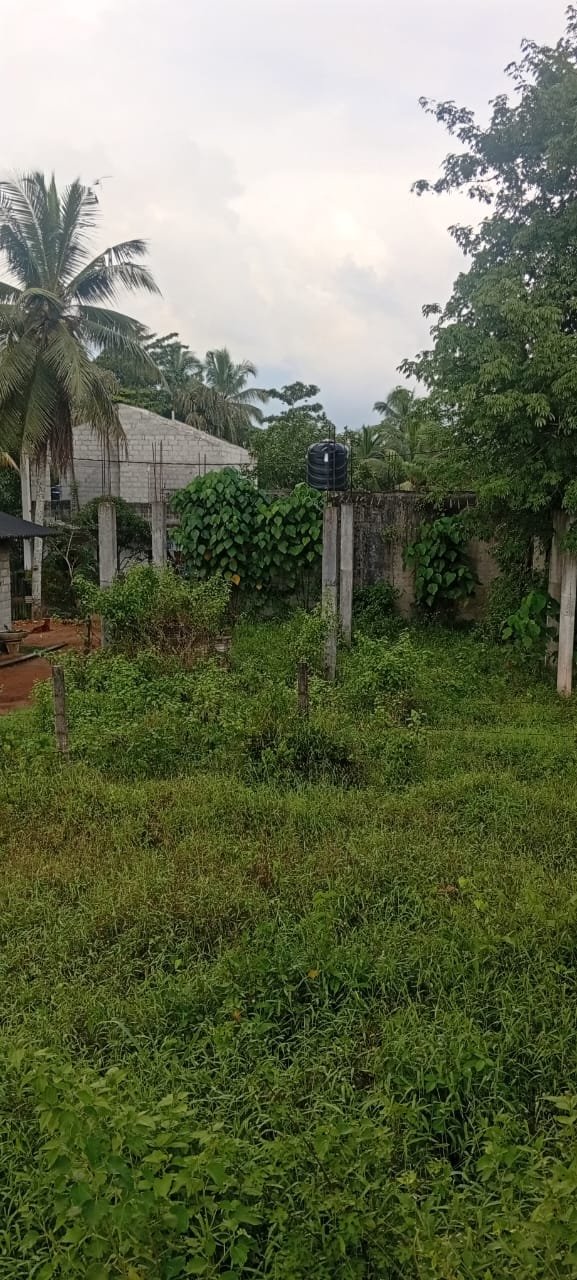 මුදල් හදිසියක් මත වහාම විකිණීමට: කිරිවත්තුඩුව හන්දියට 3km කින් පර්චස් 10 ක ඉඩම ලක්ෂ 25 යි (අත්පිට මුදලට පමණි)