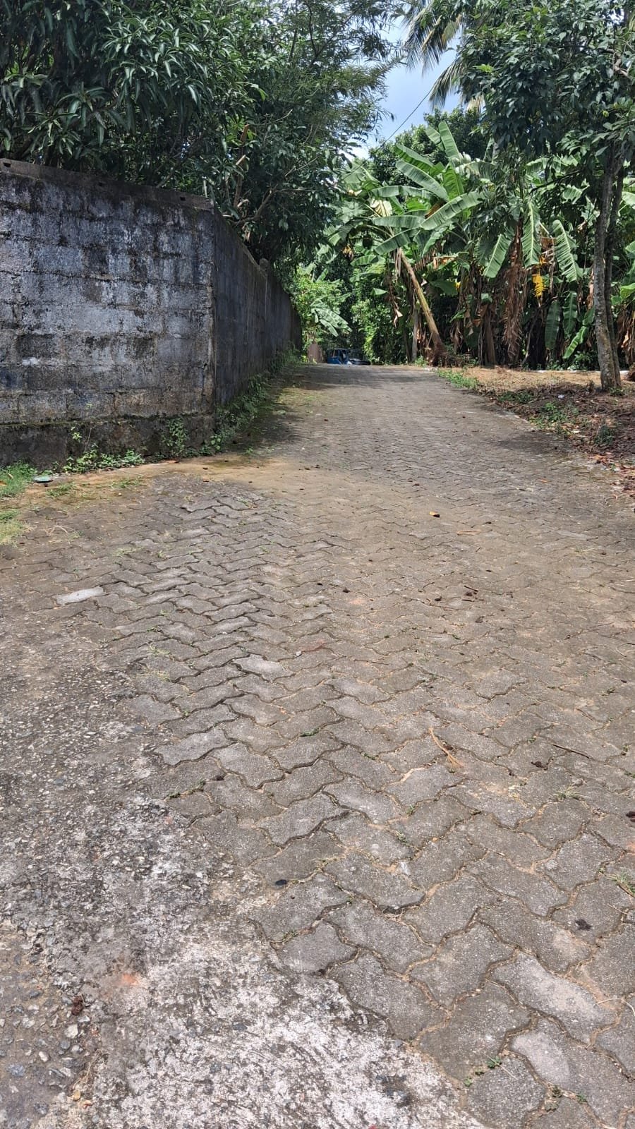 කඩුවෙල – හෝමාගම (698) ප්‍රධාන මාර්ගයට – 800m ඉඩමක් ඉතා ඉක්මනින් විකිණීමට